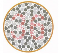 你是不是是色弱？进来测试一下吧！