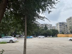 45天拿证,你用了多久考驾照呢?