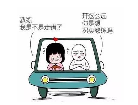 驾校学车