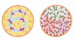 郑州考驾照报名时色弱能报名么?