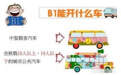 B证都能开什么车?能开大货车吗