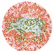 2021年色盲或色弱能考驾照吗？