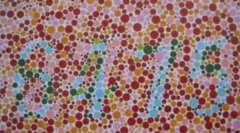 考驾照色弱怎么办？