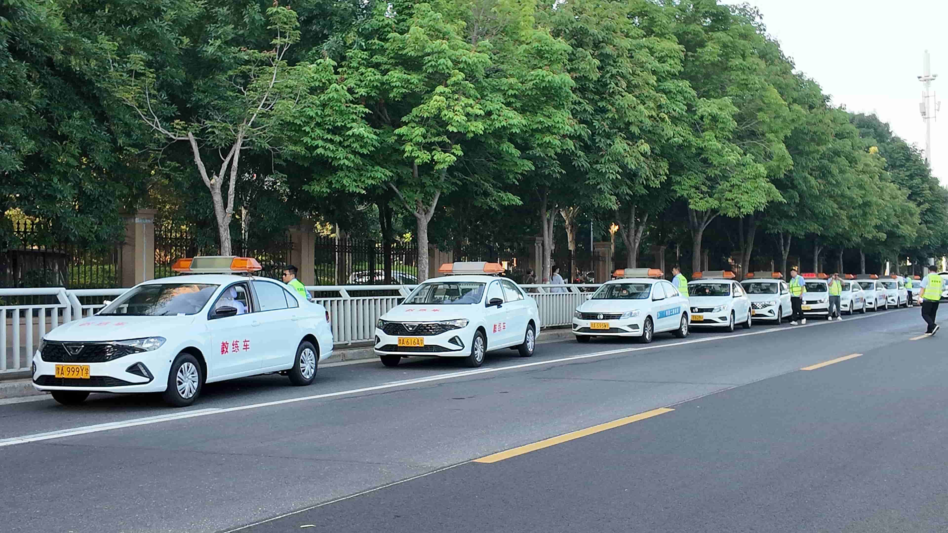 郑州学车常见误区大盘点！90%学员都会踩的坑｜郑道驾培专业避坑指南